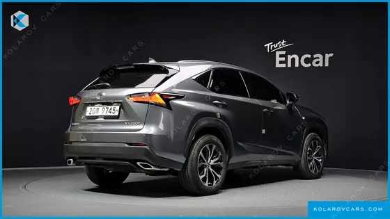 LEXUS NX F-SPORT