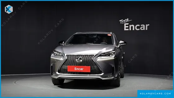 LEXUS NX F-SPORT