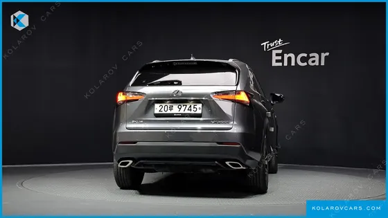 LEXUS NX F-SPORT