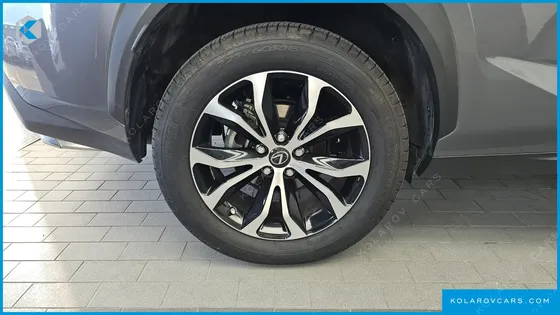 LEXUS NX F-SPORT