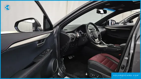 LEXUS NX F-SPORT