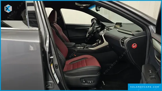 LEXUS NX F-SPORT