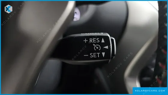 LEXUS NX F-SPORT