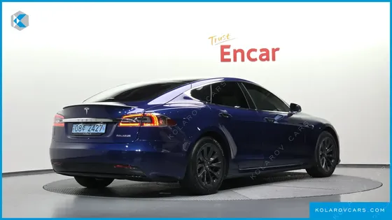TESLA MODEL S PERFORMANCE