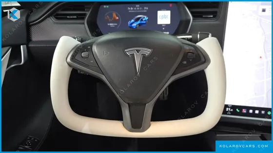 TESLA MODEL S PERFORMANCE