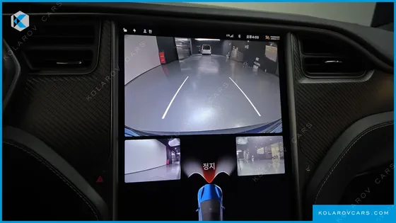 TESLA MODEL S PERFORMANCE