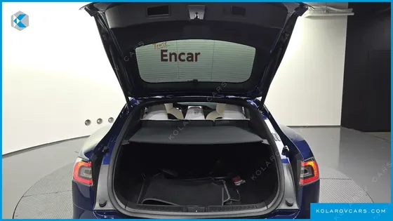 TESLA MODEL S PERFORMANCE