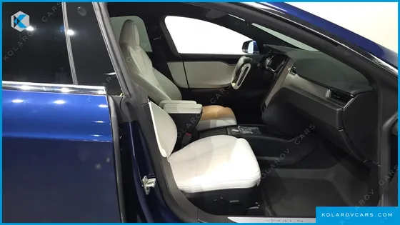 TESLA MODEL S PERFORMANCE