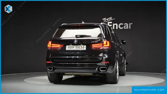BMW X5 XDRIVE 30D VISION 100 EDITION