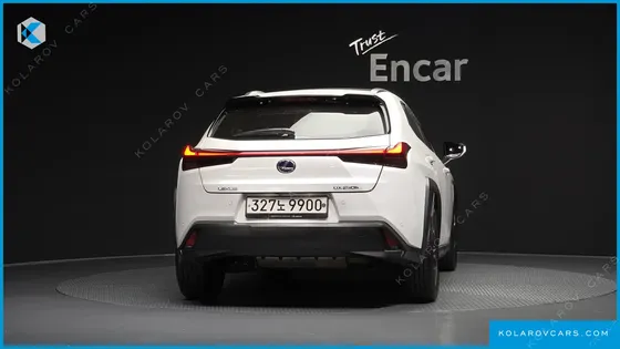 LEXUS UX 2.0 2WD