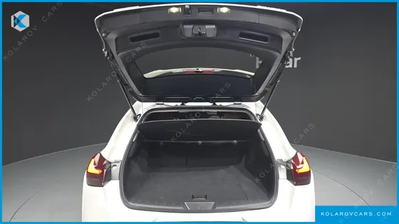 LEXUS UX 2.0 2WD