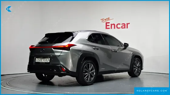 LEXUS UX 2.0 F-SPORT 2WD