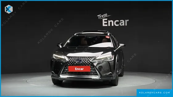 LEXUS UX 2.0 2WD