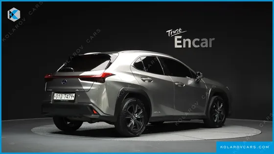 LEXUS UX 2.0 2WD