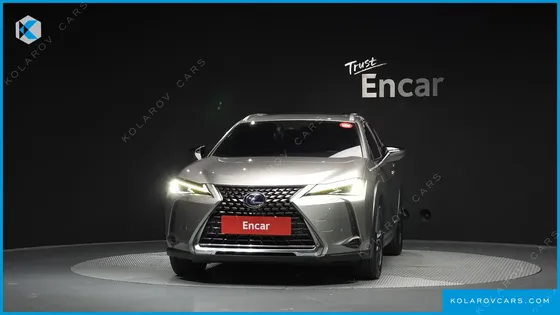 LEXUS UX 2.0 2WD