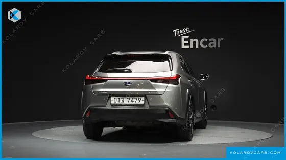 LEXUS UX 2.0 2WD