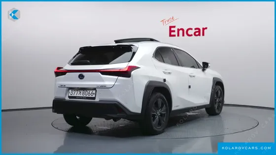 LEXUS UX 2.0 2WD