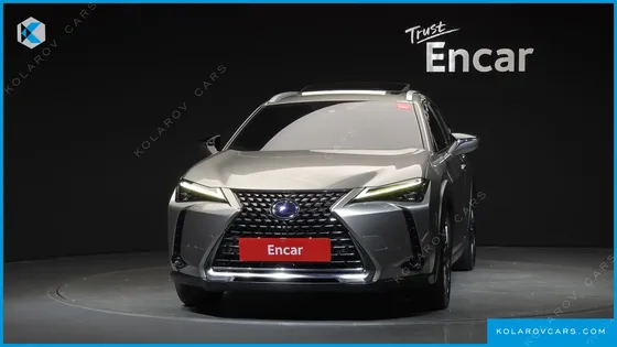 LEXUS UX 2.0 AWD