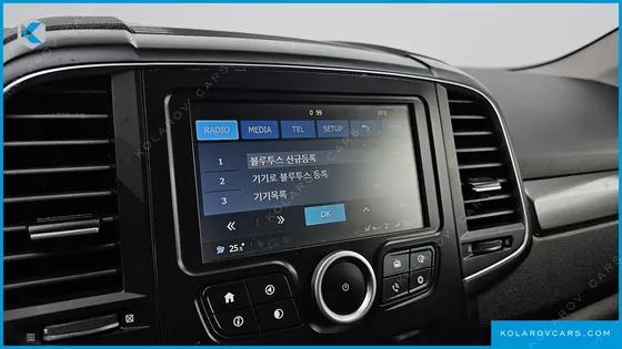 RENAULT KOREA QM6 (KOLEOS) 2.0 GDE SE 2WD