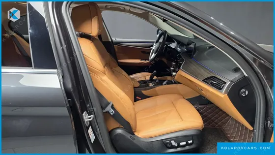 BMW 5 SERIES 530E LUXURY