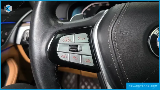 BMW 5 SERIES 530E LUXURY