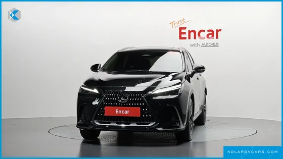 LEXUS NX PREMIUM