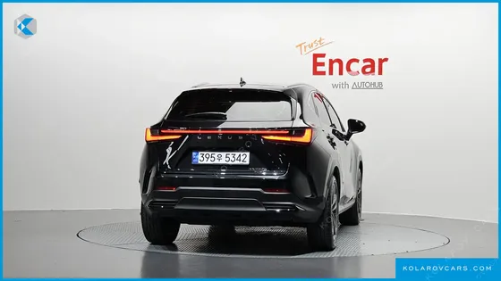 LEXUS NX PREMIUM