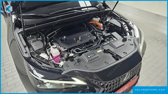 LEXUS NX PREMIUM