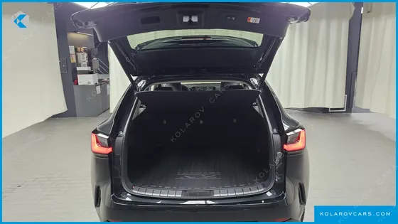 LEXUS NX PREMIUM