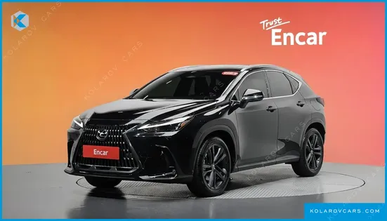 LEXUS NX PREMIUM