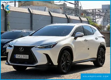 LEXUS NX PREMIUM