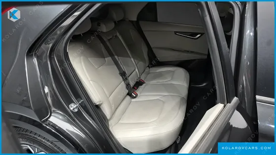 KIA NIRO EARTH