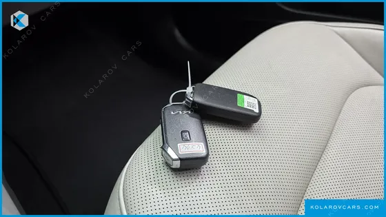KIA NIRO EARTH