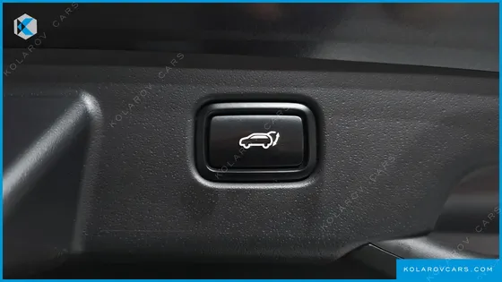 KIA NIRO EARTH