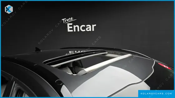 KIA NIRO EARTH