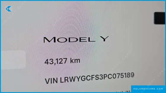 TESLA MODEL Y RWD