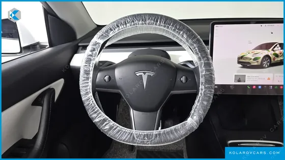 TESLA MODEL Y LONG RANGE AWD