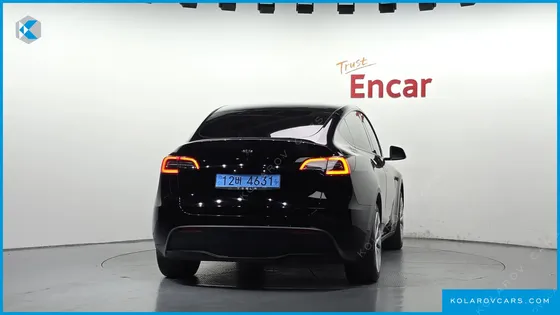 TESLA MODEL Y STANDARD RANGE RWD