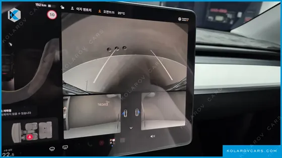 TESLA MODEL Y RWD