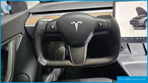 TESLA MODEL Y LONG RANGE AWD