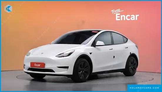 TESLA MODEL Y RWD