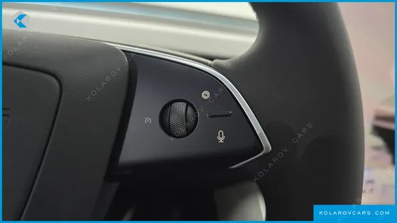 TESLA MODEL Y L LONG RANGE AWD