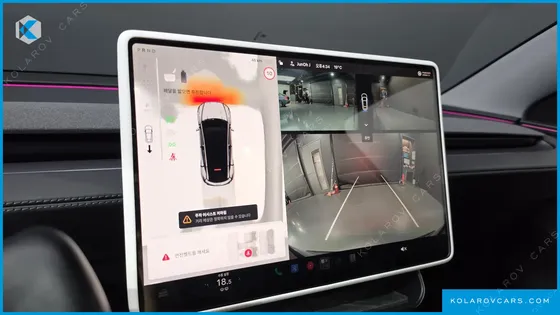 TESLA MODEL Y RWD