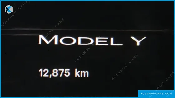 TESLA MODEL Y RWD