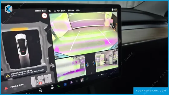 TESLA MODEL Y RWD