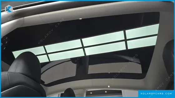 TESLA MODEL Y RWD