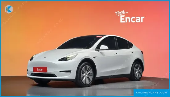 TESLA MODEL Y RWD