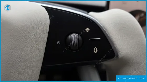 TESLA MODEL Y L LONG RANGE AWD