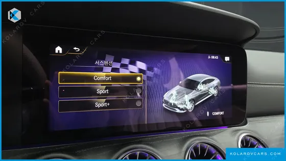 MERCEDES AMG GT 4DOOR 43 4MATIC+ DYNAMIC
