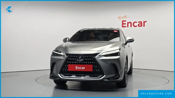 LEXUS NX PREMIUM